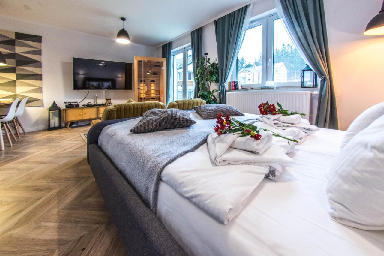 Apartamenty Izerskie - ul. Cicha 13H-I Świeradów-Zdrój Zewnętrze zdjęcie