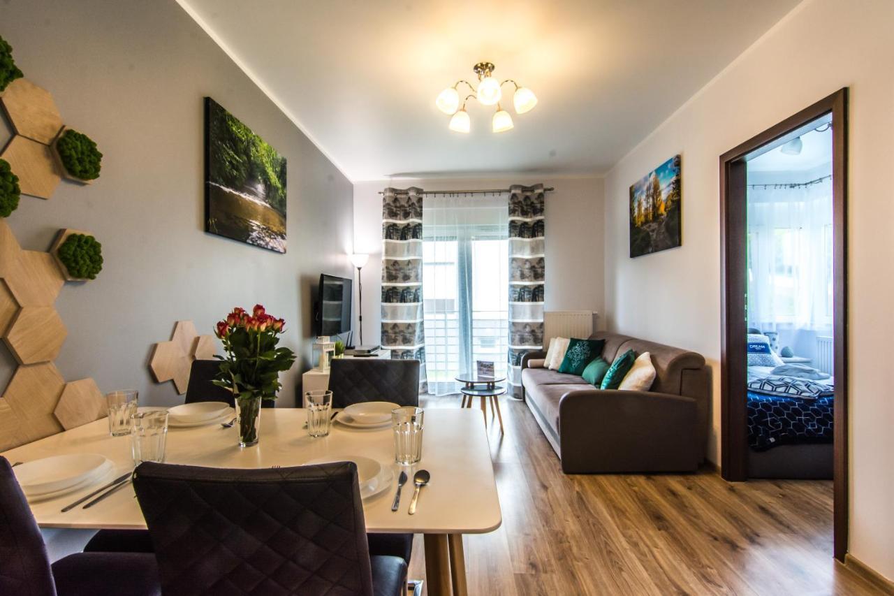 Apartamenty Izerskie - ul. Cicha 13H-I Świeradów-Zdrój Zewnętrze zdjęcie